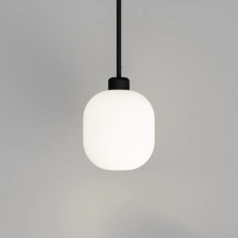 Elegant Curved Glass Pendant Light