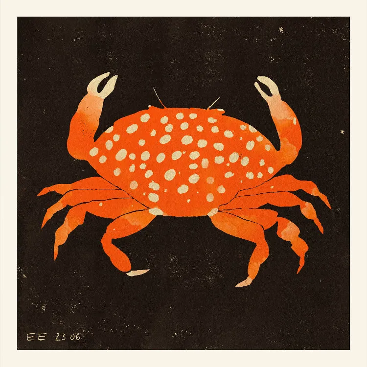 Enikő Eged - Spotted Crab